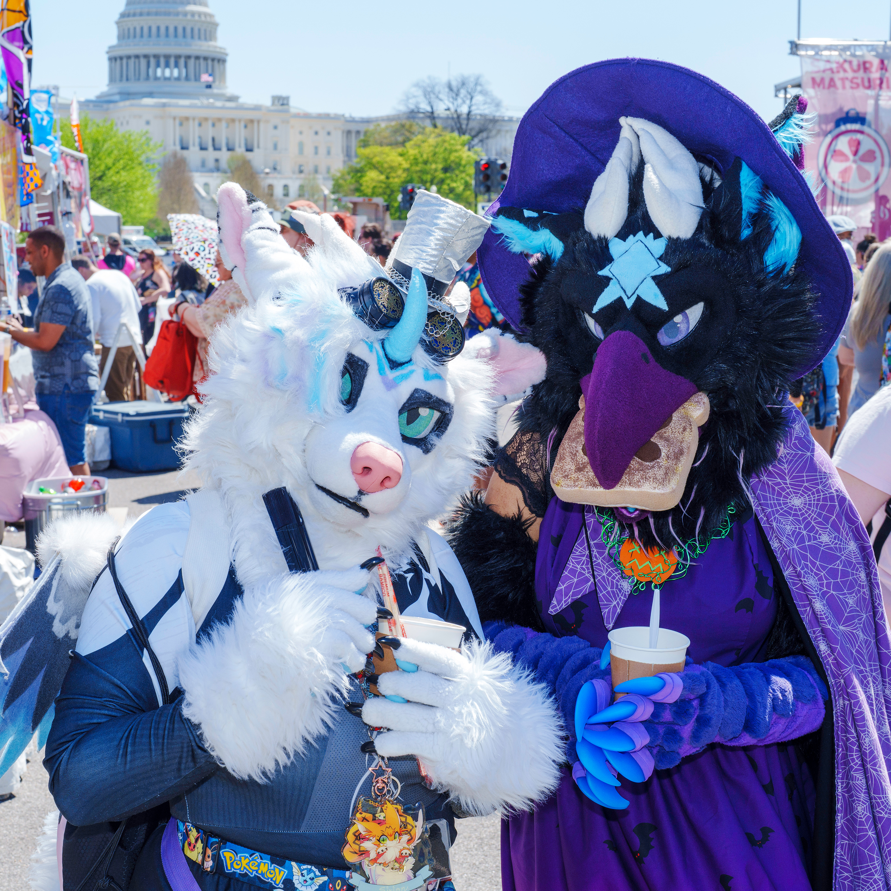 Sakura Matsuri